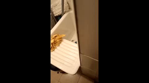 Snapshot of suso9092 chatting on 03-23-26, 11:42 suso9092 online show from 03-23-26, 11:42