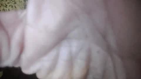 suzuki1250 online show from 04-05-26, 07:27