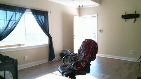 Swals online show from 02-02-25, 04:11