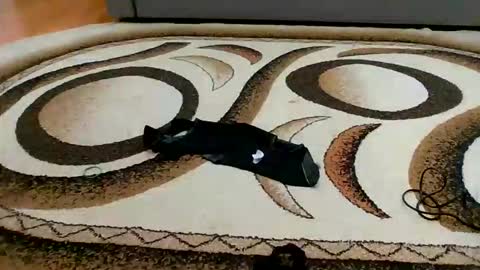 Sweet bluegirl online show from 03-06-26, 11:45