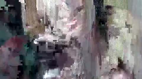 sweet_chel online show from 05-09-26, 02:39
