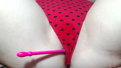 Kitten online show from 05-14-26, 07:37