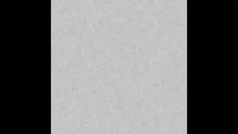 Start 18 year  Noa 19 year online show from 03-04-25, 09:32