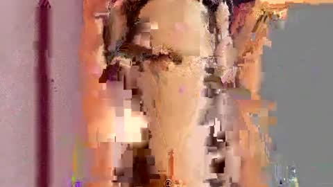          online show from 07-15-26, 07:41