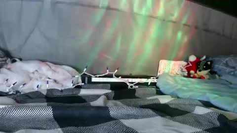 Snapshot of sweetnissapril chatting on 01-12-26, 09:03 April online show from 01-12-26, 09:03