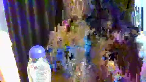 sweet online show from 12-17-25, 10:21