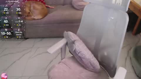 Pau online show from 04-25-26, 12:24