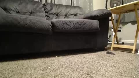 sxtn002 online show from 11-11-25, 11:10