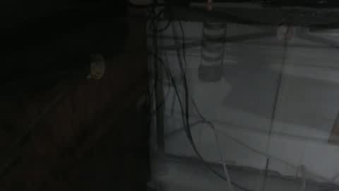 sxulx2c online show from 12-14-24, 06:24