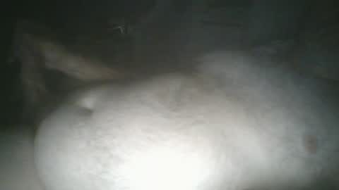 tallicas2000 online show from 07-16-26, 01:44