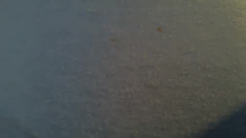tallwxguy online show from 05-22-26, 06:13