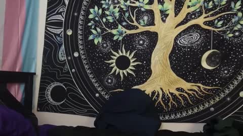 Tarrow online show from 12-29-24, 02:17