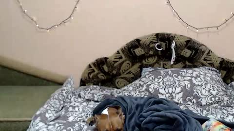 Taya online show from 01-05-26, 08:34