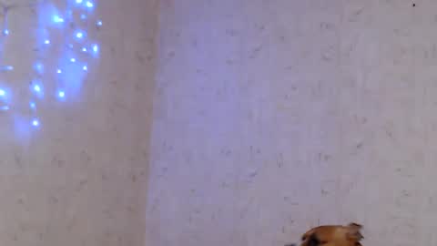 Taya online show from 01-09-26, 09:05