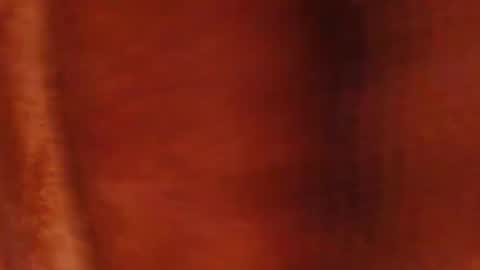 Snapshot of tetuo2 chatting on 03-23-26, 11:03 tetuo2 online show from 03-23-26, 11:03