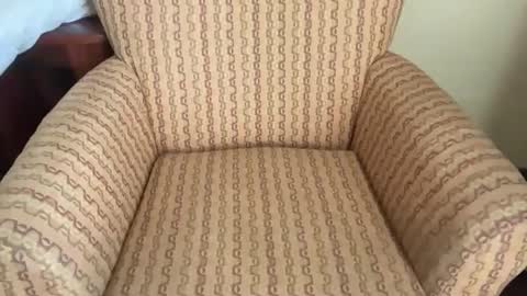 Snapshot of teveron chatting on 03-23-26, 03:05 Tev online show from 03-23-26, 03:05