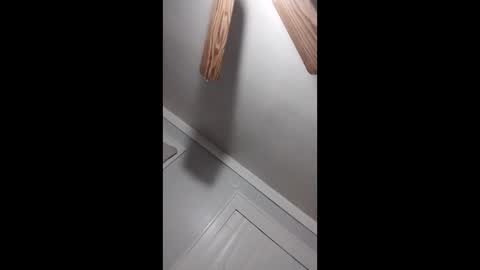 thedailyshower online show from 03-09-26, 06:06