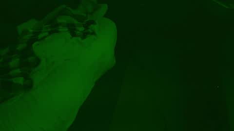 thehungmantis online show from 12-26-24, 04:32