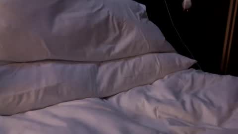 themikee818 online show from 04-24-26, 01:24