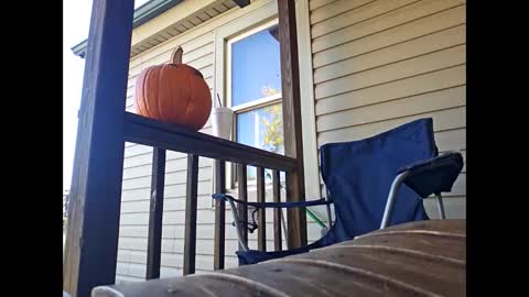 therizzler_1_of_1 online show from 10-22-25, 07:57