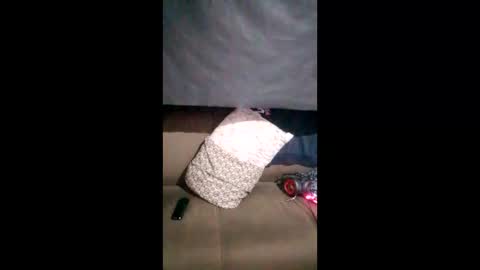 theyllorwillians online show from 05-16-26, 12:40