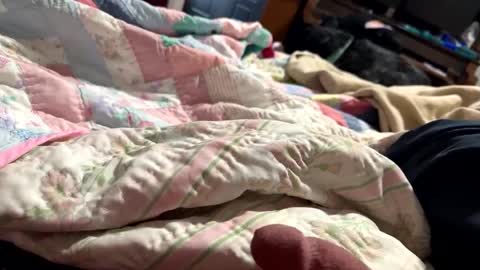 thickdic44 online show from 02-12-25, 06:40