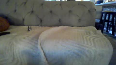 Snapshot of throbbing_jim chatting on 08-01-26, 04:12 Jim online show from 08-01-26, 04:12