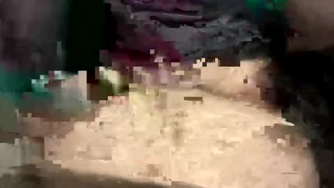 thunderbird2696 online show from 04-12-26, 04:23