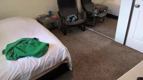 timberelove online show from 04-16-26, 10:23