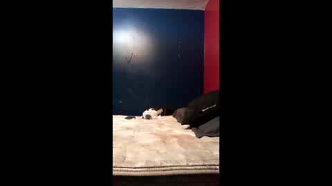 tinycock74478 online show from 03-19-26, 10:03