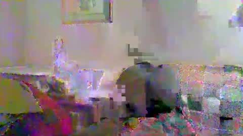 Vols online show from 11-23-25, 12:54