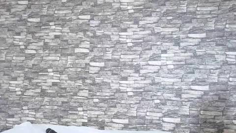 Tokyo online show from 02-02-26, 06:06