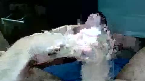Snapshot of tom4yourself chatting on 05-29-26, 06:17 tom4yourself online show from 05-29-26, 06:17