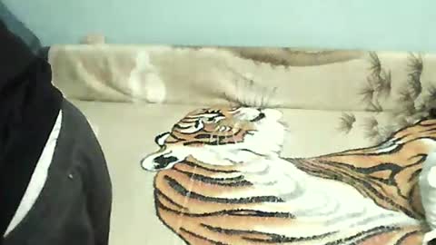 Tomek online show from 12-31-24, 05:18