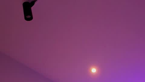 Snapshot of tony_petrov chatting on 01-08-26, 03:20 tony_petrov online show from 01-08-26, 03:20