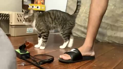 TopTierDrippa online show from 03-03-26, 12:11