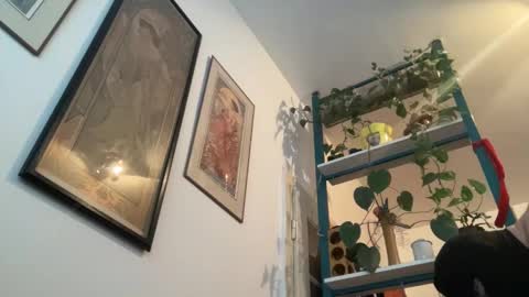 toybdsmguy online show from 12-28-24, 08:37