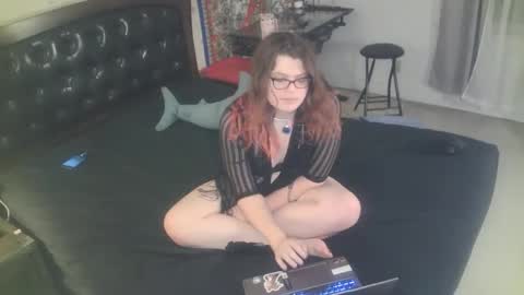 tranicpixiedreamgrl online show from 11-25-25, 02:00