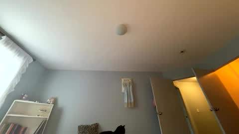transgirl007 online show from 05-24-26, 10:04