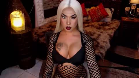 transpornidol online show from 02-04-26, 08:53