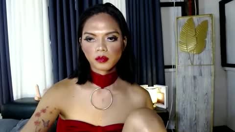 transsitips online show from 12-05-25, 02:58