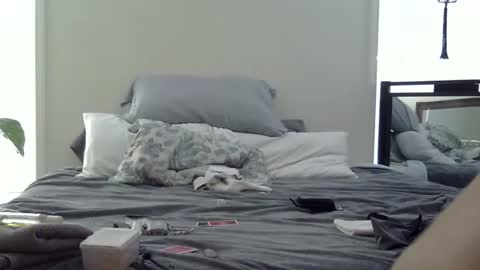 Snapshot of trickquestion chatting on 02-19-26, 08:49 trickquestion online show from 02-19-26, 08:49