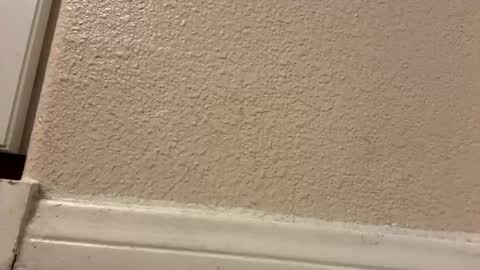 trickydick6 online show from 03-10-26, 05:01