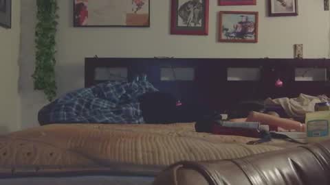 Snapshot of trinasvede chatting on 03-09-25, 06:28 Trina Tushy Deluxe online show from 03-09-25, 06:28