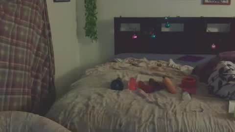 Snapshot of trinasvede chatting on 03-22-26, 12:25 Trina Tushy Deluxe online show from 03-22-26, 12:25