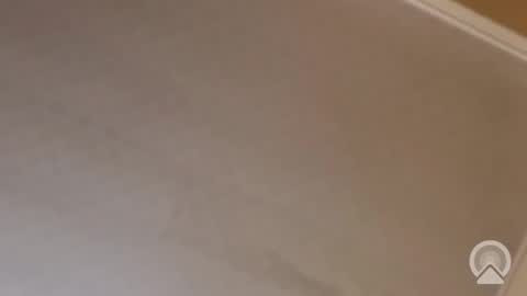 Antique-Shirt2516 online show from 11-13-25, 12:09