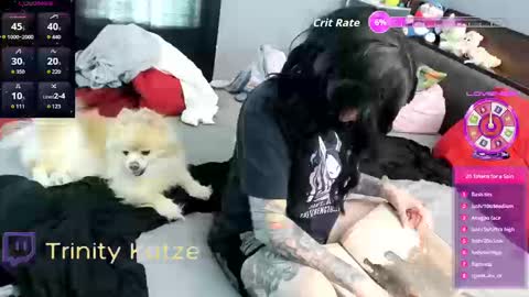 Trin Kat pet online show from 09-26-25, 08:02