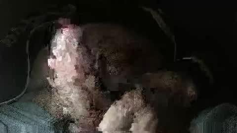 Snapshot of triponsex chatting on 03-24-26, 09:42 triponsex online show from 03-24-26, 09:42