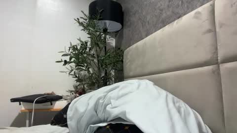 ts_danielahugecock_xxx online show from 02-02-26, 05:17