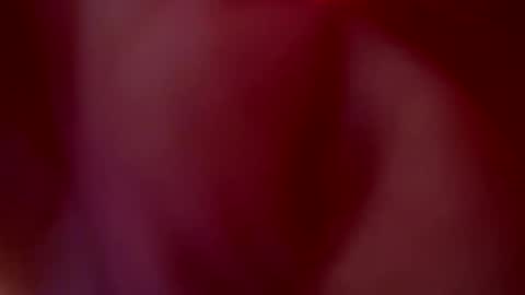 Snapshot of tu_julieta_gh chatting on 10-20-25, 01:06 JULIETA online show from 10-20-25, 01:06